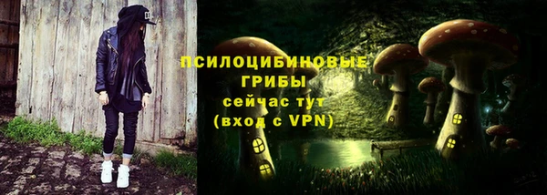 герыч Инсар