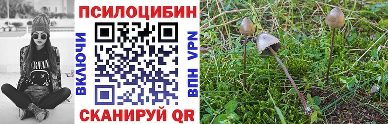 маркетплейс Telegram  Тарко-Сале  Псилоцибиновые грибы ЛСД 